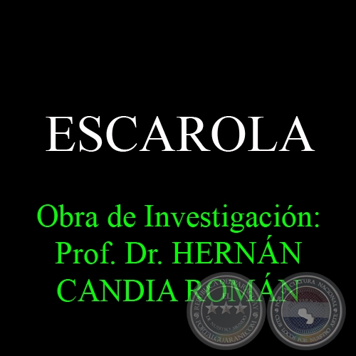 ESCAROLA - Obra de Investigacin: Prof. Dr. HERNN CANDIA ROMN