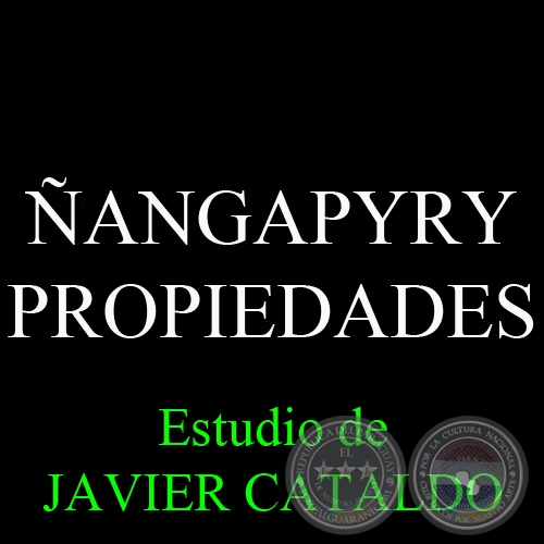 ANGAPYRY - PROPIEDADES - Estudio de JAVIER CATALDO