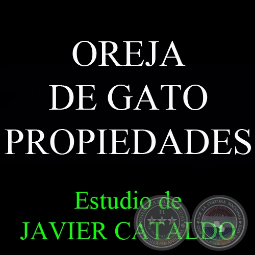 OREJA DE GATO - PROPIEDADES - Estudio de JAVIER CATALDO