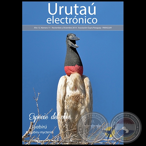 URUTA ELECTRNICO - NMERO 11 - AO 12 - NOVIEMBRE Y DICIEMBREBRE 2014