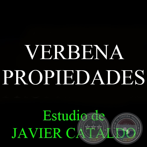 VERBENA - PROPIEDADES - Estudio de JAVIER CATALDO