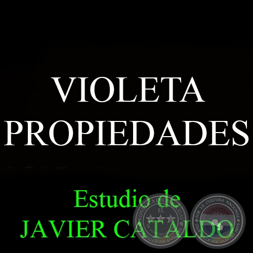 VIOLETA - PROPIEDADES - Estudio de JAVIER CATALDO