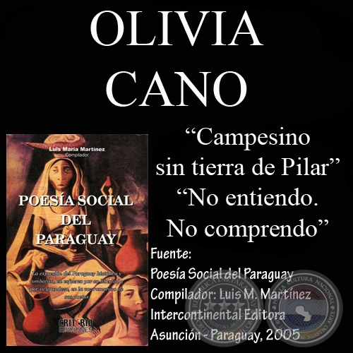 NO ENTIENDO. NO COMPRENDO y poesas de OLIVIA CANO 