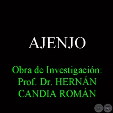 AJENJO - Obra de Investigacin: Prof. Dr. HERNN CANDIA ROMN
