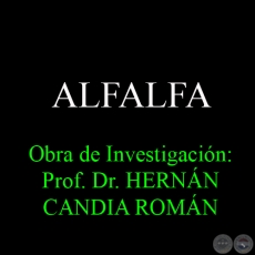 ALFALFA - Obra de Investigacin: Prof. Dr. HERNN CANDIA ROMN