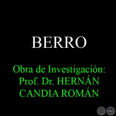 BERRO - Obra de Investigacin: Prof. Dr. HERNN CANDIA ROMN