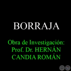 BORRAJA - Obra de Investigacin: Prof. Dr. HERNN CANDIA ROMN