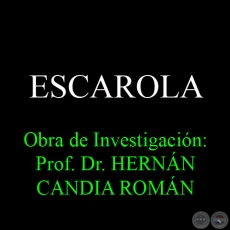 ESCAROLA - Obra de Investigacin: Prof. Dr. HERNN CANDIA ROMN