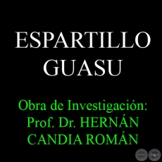 ESPARTILLO GUASU - Obra de Investigacin: Prof. Dr. HERNN CANDIA ROMN