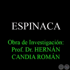 ESPINACA - Obra de Investigacin: Prof. Dr. HERNN CANDIA ROMN