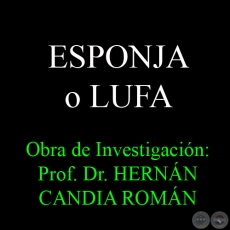 ESPONJA O LUFA - Obra de Investigacin: Prof. Dr. HERNN CANDIA ROMN