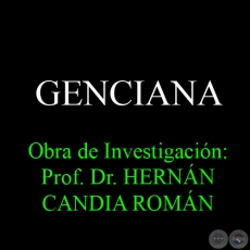 GENCIANA - Obra de Investigacin: Prof. Dr. HERNN CANDIA ROMN