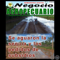 NEGOCIO AGROPECUARIO - N 3 - 11/02/13 - REVISTA DIGITAL