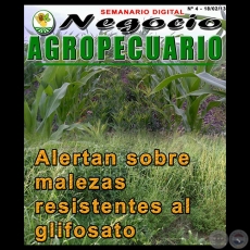 NEGOCIO AGROPECUARIO - N 4 - 18/02/13 - REVISTA DIGITAL