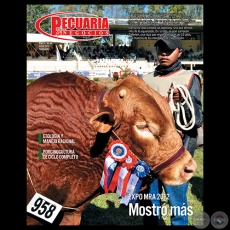 PECUARIA & NEGOCIOS - AO 9 - N 96 - REVISTA JULIO 2012 - PARAGUAY