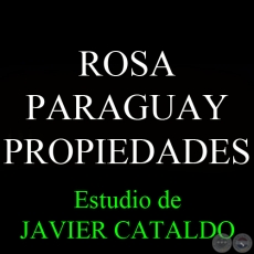 ROSA PARAGUAY - PROPIEDADES - Estudio de JAVIER CATALDO