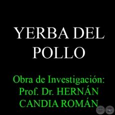 YERBA DEL POLLO - Obra de Investigacin: Prof. Dr. HERNN CANDIA ROMN