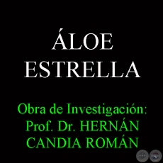 LOE ESTRELLA - Obra de Investigacin: Prof. Dr. HERNN CANDIA ROMN