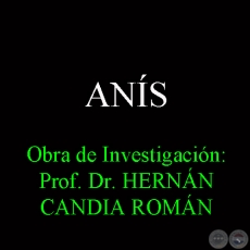 ANS - Obra de Investigacin: Prof. Dr. HERNN CANDIA ROMN