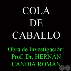 COLA DE CABALLO - Obra de Investigacin: Prof. Dr. HERNN CANDIA ROMN