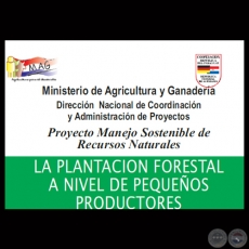LA PLANTACION FORESTAL A NIVEL DE PEQUEOS PRODUCTORES - MAG / GTZ