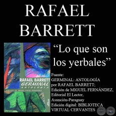 LO QUE SON LOS YERBALES - Ensayo de RAFAEL BARRETT