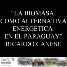 LA BIOMASA COMO ALTERNATIVA ENERGÉTICA EN EL PARAGUAY (RICARDO CANESE) - Noviembre de 1986