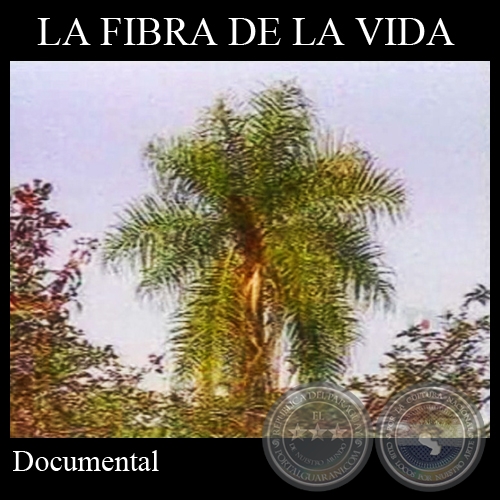 LA FIBRA DE LA VIDA - Documental de JOAQUN SMITH