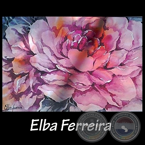 FLORES FUXIAS