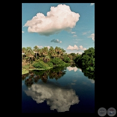 PAISAJE, BAJO CHACO - Fotografa de Fernando Allen