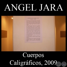 CUERPOS CALIGRFICOS, 2009 - Dibujos de NGEL JARA