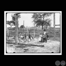 ASADO A LA ESTACA - Fotografa de GUIDO BOGGIANI