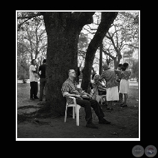 MSICO - BARRIO SAJONIA / SERIE - Fotografa de JAVIER MEDINA VERDOLINI