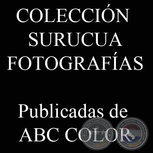 COLECCIN SURUCUA, Publicadas en ABC COLOR