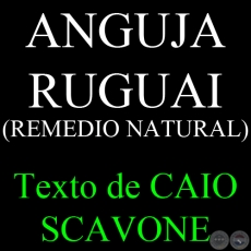 ANGUJA RUGUAI (REMEDIO NATURAL) - Texto de CAIO SCAVONE