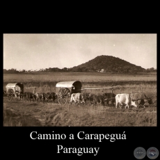 CAMINO A CARAPEGU (DETALLE) - POSTAL DEL PARAGUAY