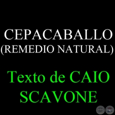 CEPACABALLO (REMEDIO NATURAL) - Texto de CAIO SCAVONE