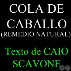 COLA DE CABALLO (REMEDIO NATURAL) - Texto de CAIO SCAVONE