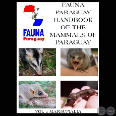 FAUNA PARAGUAY - HANDBOOK OF THE MAMMALS OF PARAGUAY - MARSUPIALIA