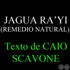 JAGUA RAYI (REMEDIO NATURAL) - Texto de CAIO SCAVONE