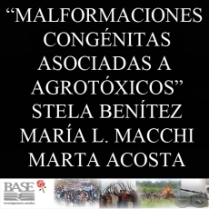 MALFORMACIONES CONGNITAS ASOCIADAS A AGROTXICOS (STELA BENTEZ LEITE, MARA LUISA MACCHI y MARTA ACOSTA)