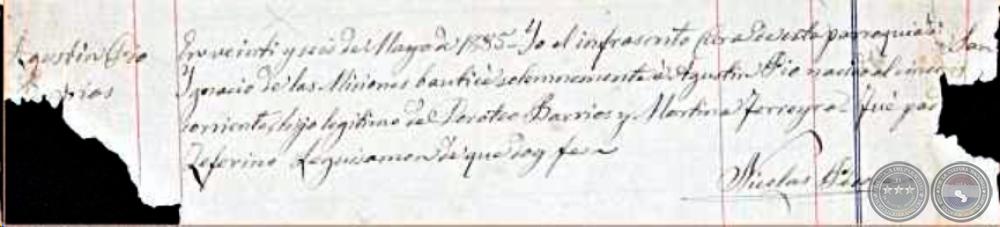 Documento de Respaldo