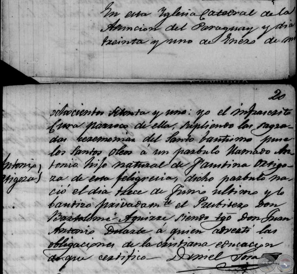 Documento de Respaldo