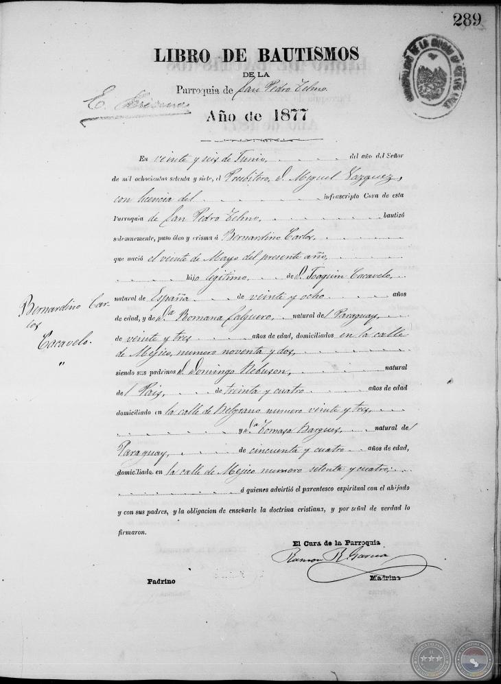 Documento de Respaldo