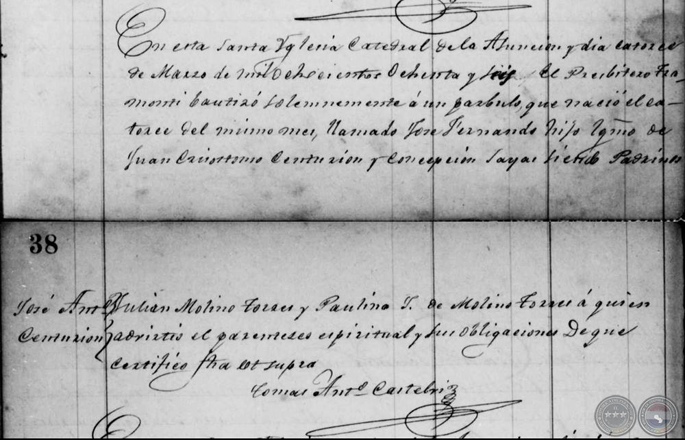 Documento de Respaldo