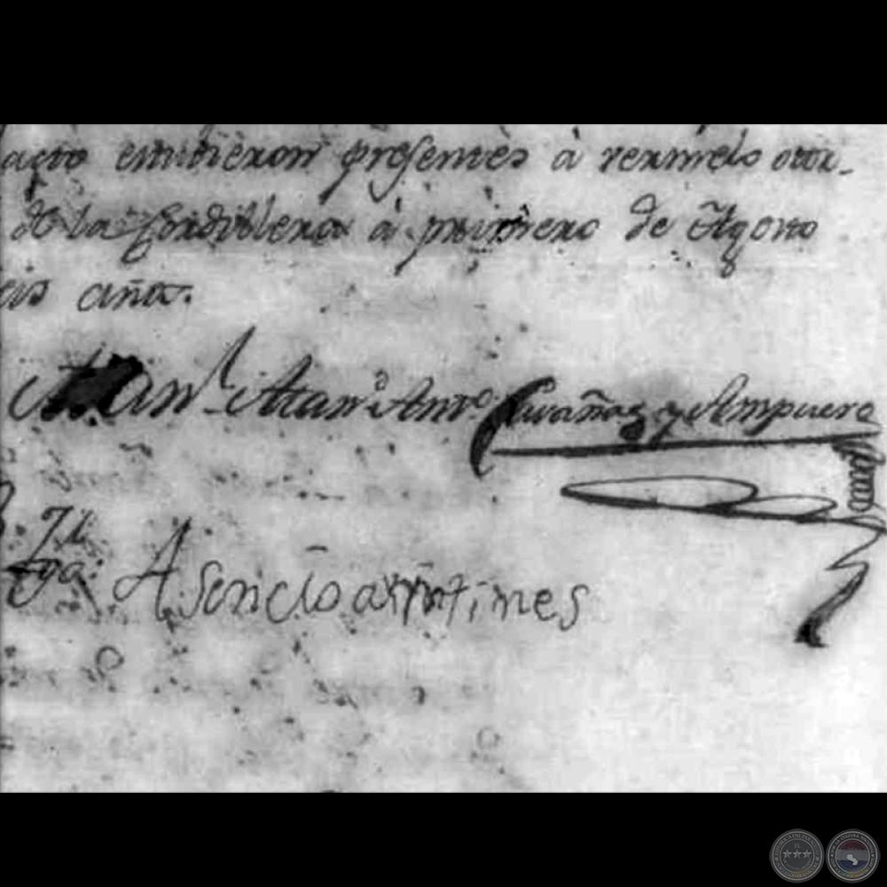 Documento de Respaldo