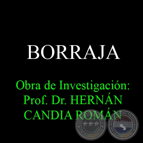 BORRAJA - Obra de Investigación: Prof. Dr. HERNÁN CANDIA ROMÁN