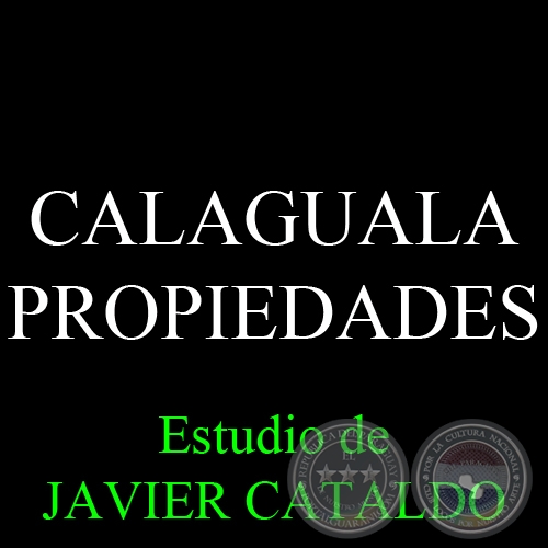 CALAGUALA - PROPIEDADES - Estudio de JAVIER CATALDO