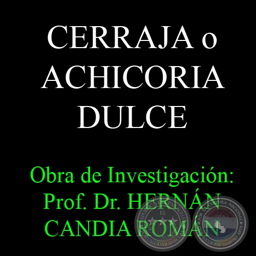 CERRAJA O ACHICORIA DULCE - Obra de Investigación: Prof. Dr. HERNÁN CANDIA ROMÁN