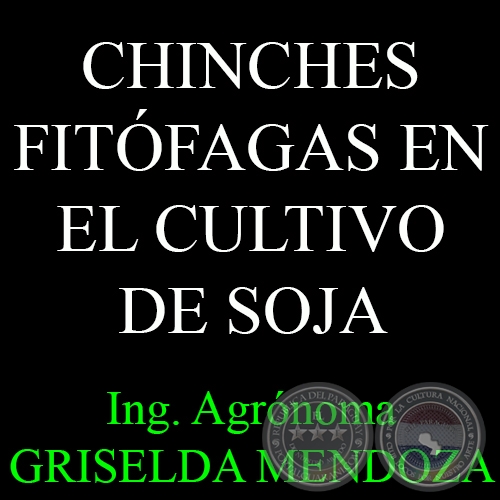 CHINCHES FITÓFAGAS EN EL CULTIVO DE SOJA - Por Ing. Agr. GRISELDA MENDOZA